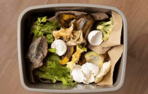 Ilustrasi Food Waste