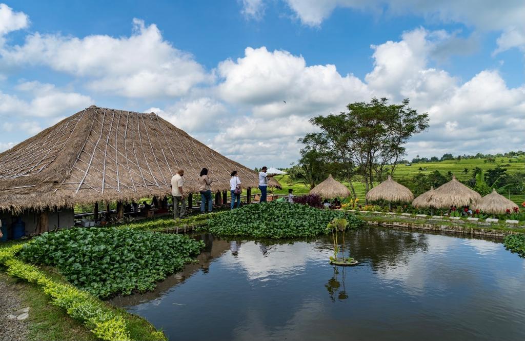 desa wisata
