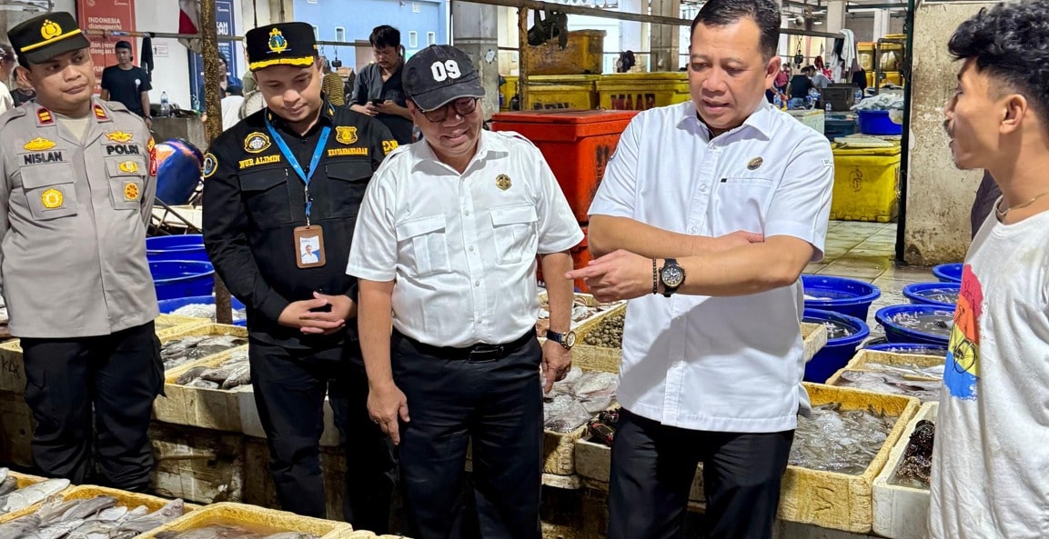 Stok ikan nataru