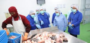 Revitalisasi Tambak Pantura