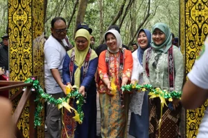 revitalisasi Ekowisata Mangrove