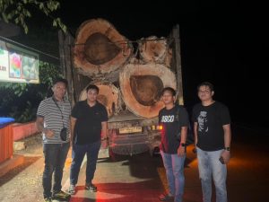 penangkapan Illegal Logging