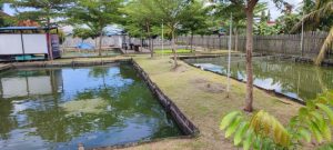 perikanan balikpapan