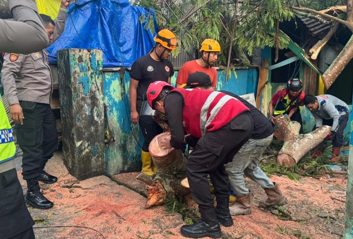 sebuah pohon besar menimpa rumah warga di Jalan Siaga, Kelurahan Damai, Balikpapan Selatan, Sabtu (28/12).