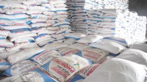 Pupuk Subsidi Disalurkan Tepat Waktu pada 1 Januari 2025, Ini Kata Mentan